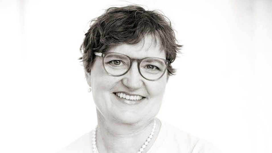 Senior Researcher Karin Sørig Hougaard