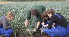 Lærlinge arbejder i marken