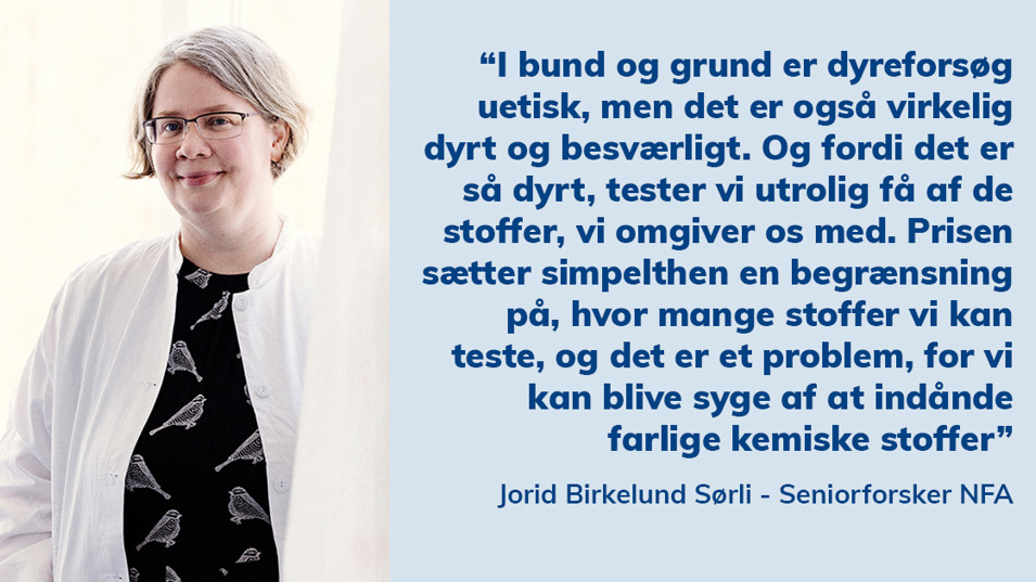 Jorid Sørli