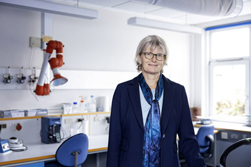 Professor Anne Helene Garde