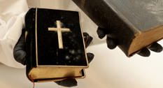 Skimmelsvamp på bibel