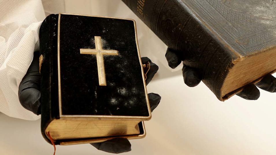 Skimmelsvamp på bibel