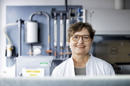 Seniorforsker Karin Sørig Hougaard