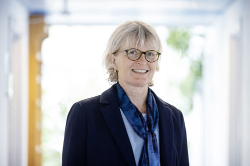 Professor Anne Helene Garde