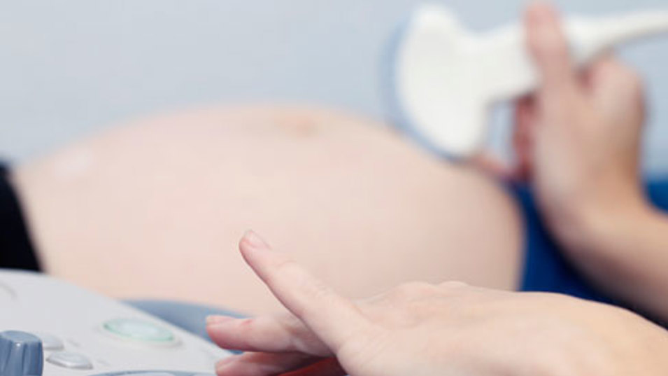En gravid mave under en ultralydsundersøgelse