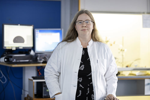 Seniorforsker Jorid Birkelund Sørli