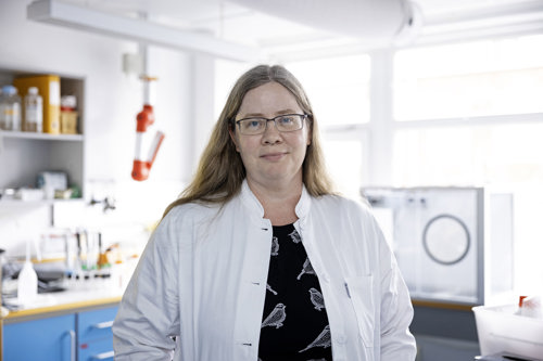 Seniorforsker Jorid Birkelund Sørli