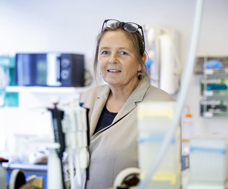 Seniorforsker Anne Mette Madsen