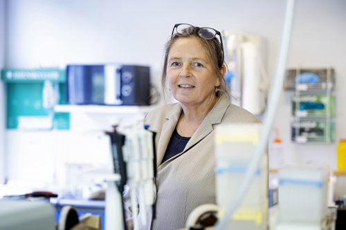 Seniorforsker Anne Mette Madsen