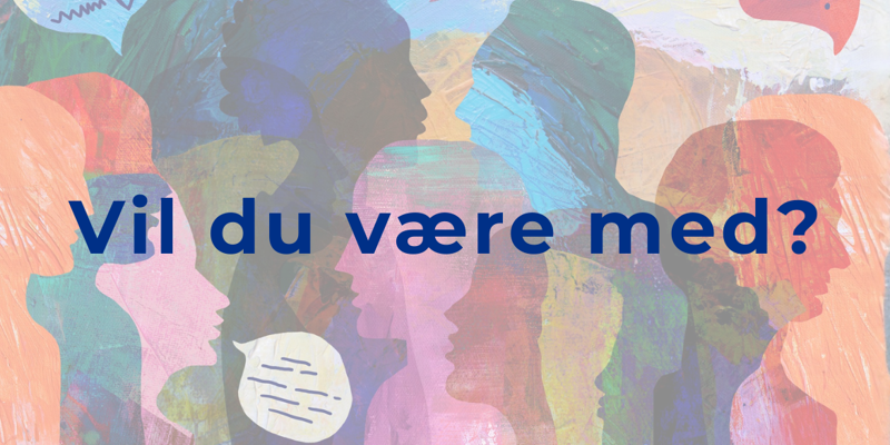 NFA søger deltagere til brobyggernetværk