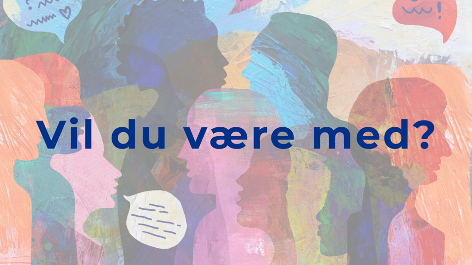 NFA søger deltagere til brobyggernetværk