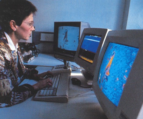 Arbejde foran computer 
