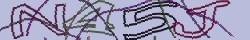 Skriv tegnene du ser i CAPTCHA billedet